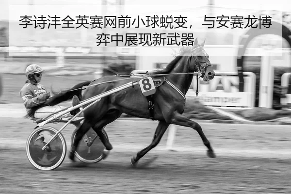李诗沣全英赛网前小球蜕变，与安赛龙博弈中展现新武器